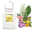 Ajmal Ajmal Violet Musc Eau De Parfum - 100ml